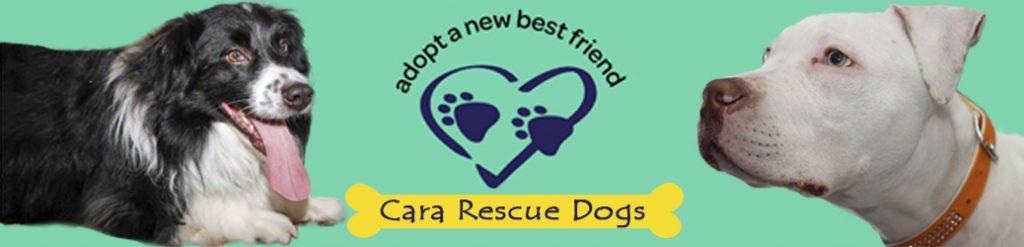 Cara Rescue Dogs